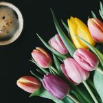 Thumnail image for: How Spring and Java Shaped Internal Developer Platforms