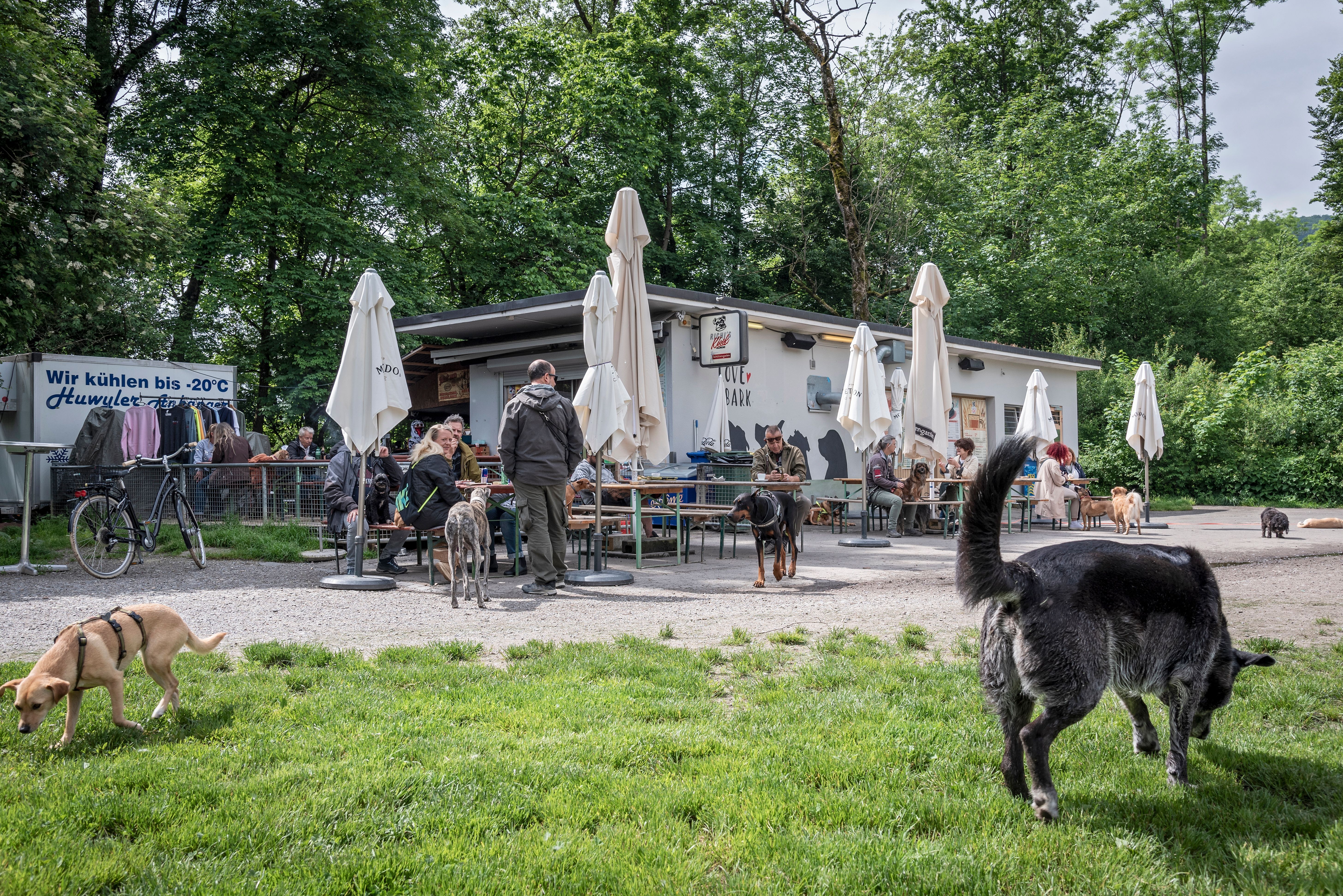 Die hundefreie Zone am rechten Sihlufer sei unverhältnismässig, finden Tierhalter. Die Stadt argumentiert, sie reagiere auf ein Bedürfnis. Ein Besuch am Ort des Geschehens.