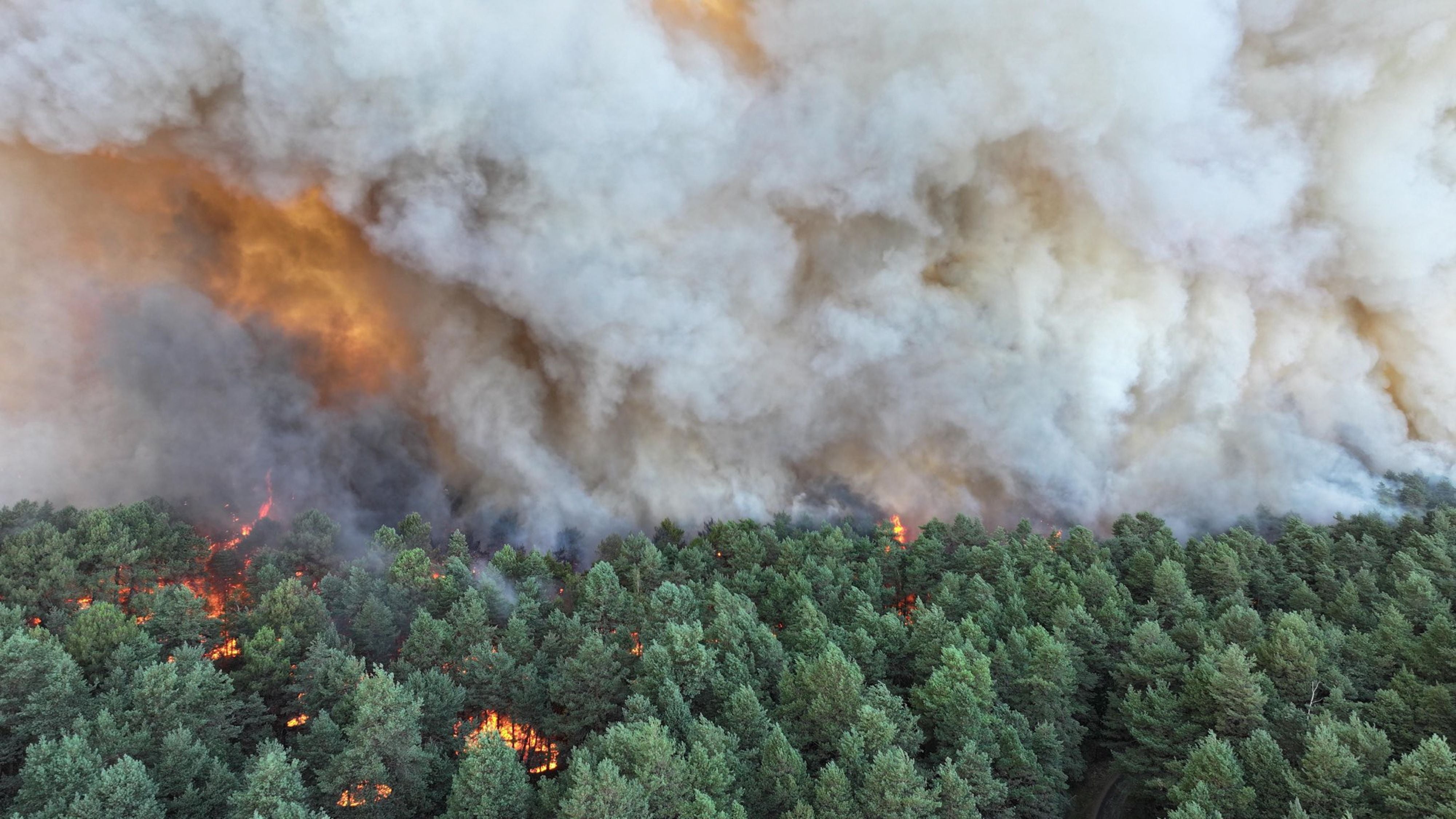 Frankreich kämpft seit Jahren gegen schwere Waldbrände im Sommer. Aber vor allem im Süden des Landes. Dass nun aber ausgerechnet vor den Toren von Paris die Flammen lodern, ist eine Zäsur.