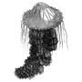 skarwa profile image