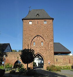 Porta della città - Zülpicher Tor