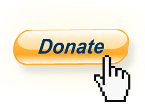 donate_paypal