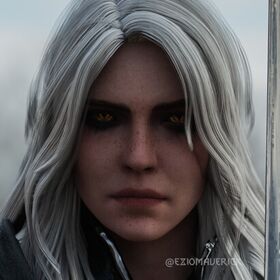 The Witcher